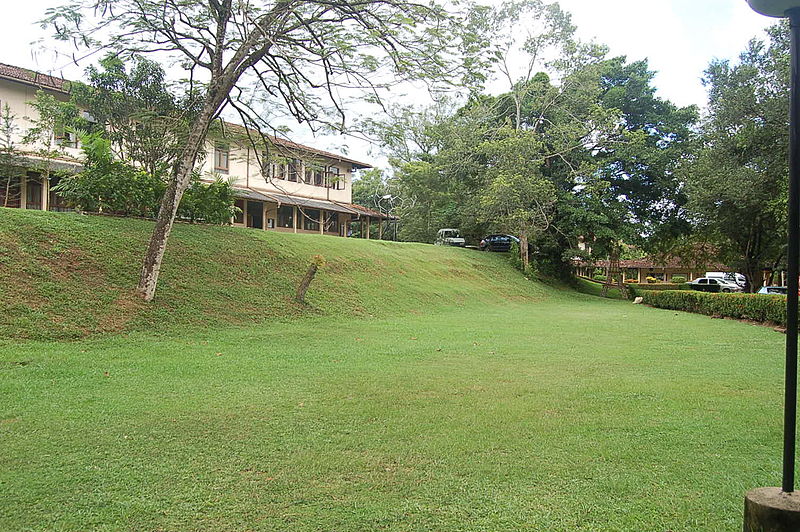 Universidad de Sri Jayewardenepura