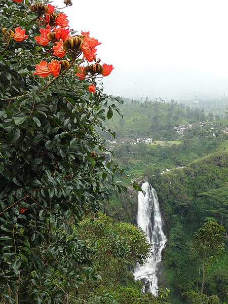 Devon Falls