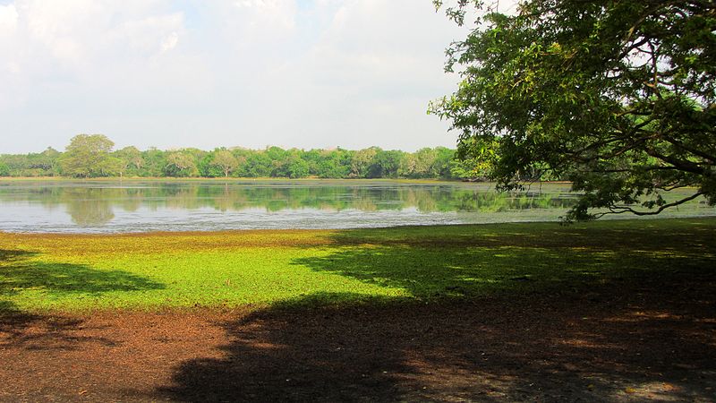 Park Narodowy Wilpattu