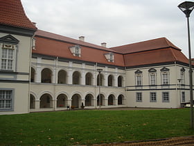 Minor Radvilos Palace