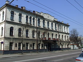 Maironis-Universitätsgymnasium Kaunas
