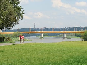 Petras Vileišis Bridge