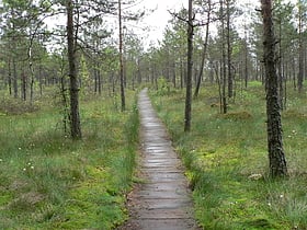 parque nacional de dzukija