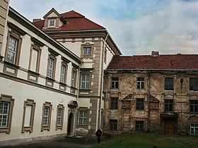 museum of the radvilas palace vilnius