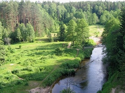 Dainava Forest