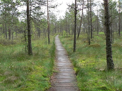 nationalpark dzukija