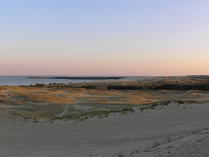 parnidis dune park narodowy mierzei kuronskiej