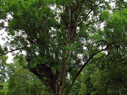 raganos uosis parque nacional de zemaitija