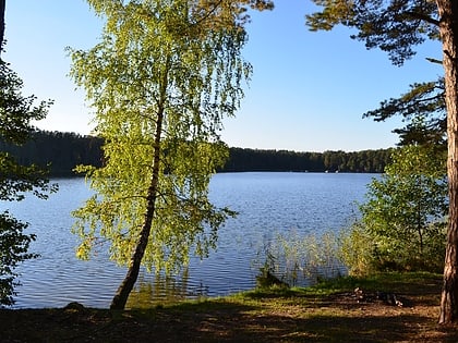 Lake Balžis