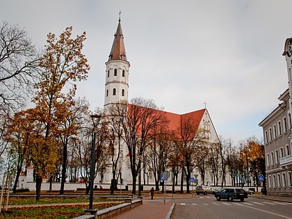 cathedral of saints peter and paul siauliai