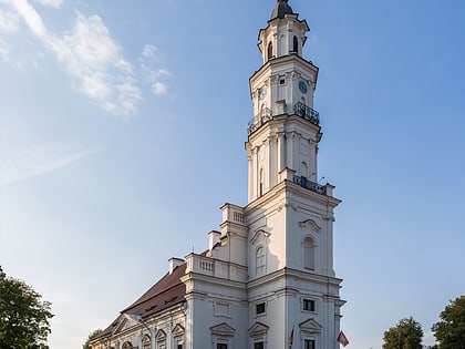 Rathaus Kaunas