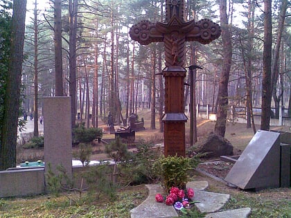 Friedhof Petrašiūnai