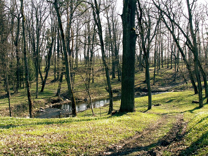 Joniškėlis Manor