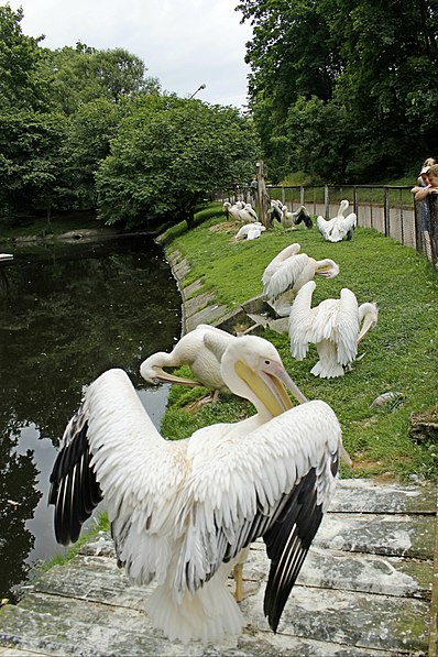 Zoologischer Garten Litauens