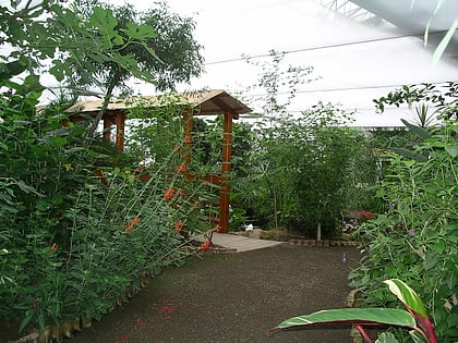 Butterfly Garden