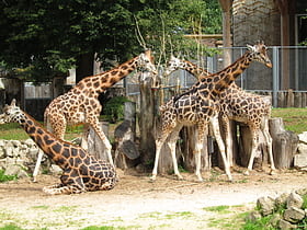 Jardín zoológico de Riga