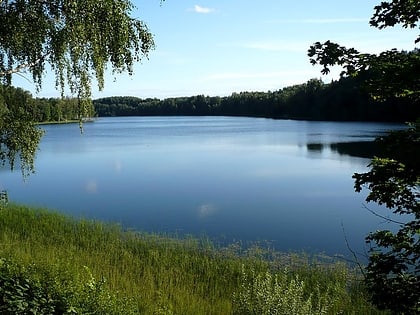 Lake Drīdzis