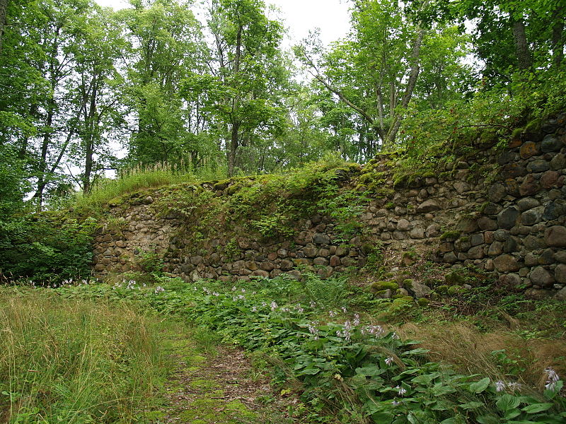 Burg Burtneck