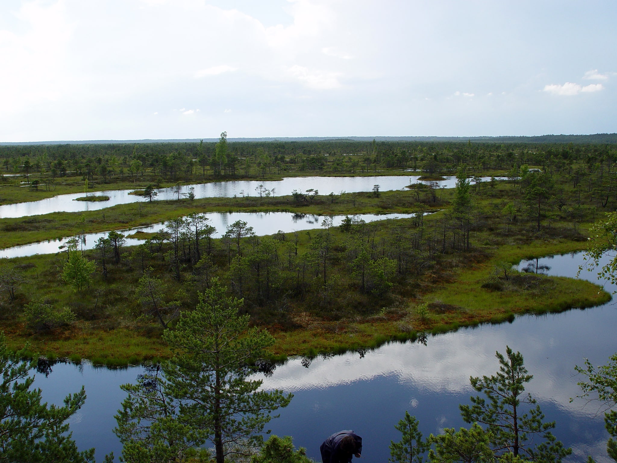 Parc national de Ķemeri, Lettonie
