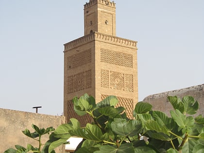 gran mezquita de sale rabat
