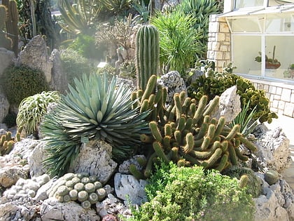 Jardín exótico de Mónaco