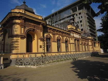 national museum of fine arts kiszyniow