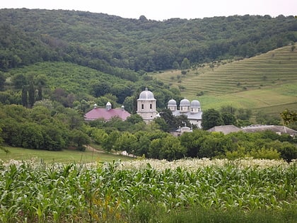 Biserica Mănăstirii Dobrușa