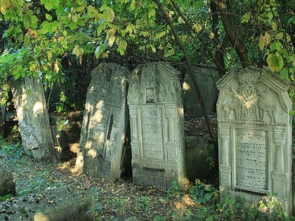 jewish cemetery of briceni