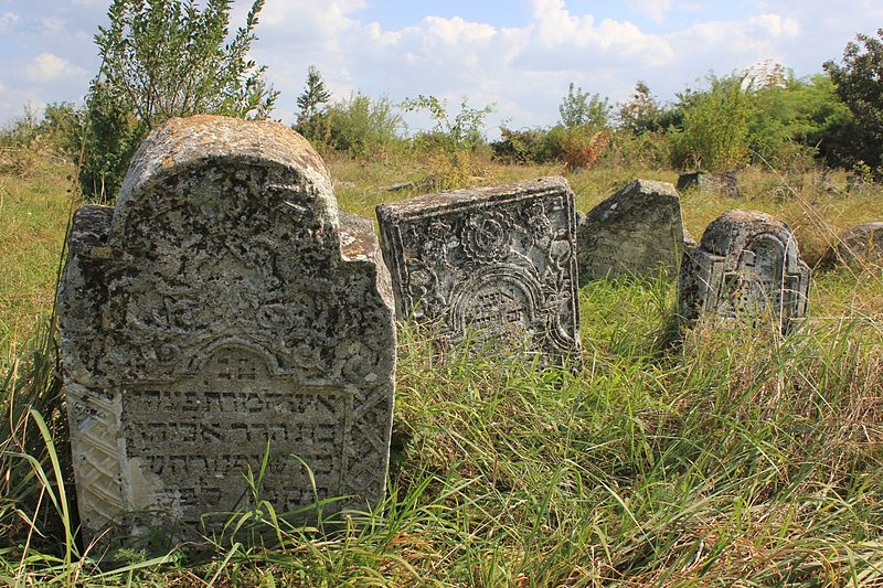 Jewish cemetery of Briceni