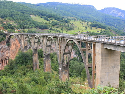 pont de durdevica tara zabljak