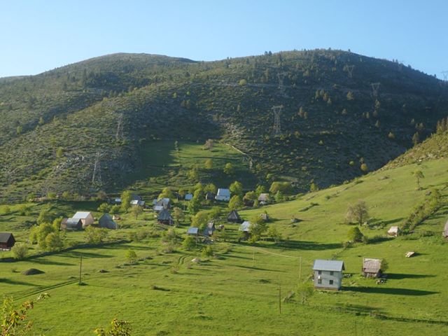 Ljubišnja