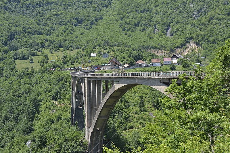 Pont de Đurđevića Tara