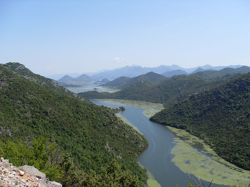 Lago Shkodër