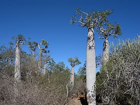 park narodowy tsimanampetsotsa