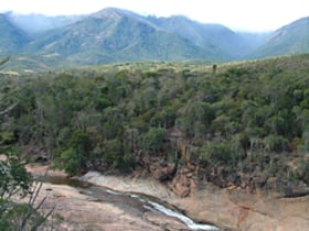 Regenwälder von Atsinanana