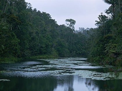 Analamazaotra National Park