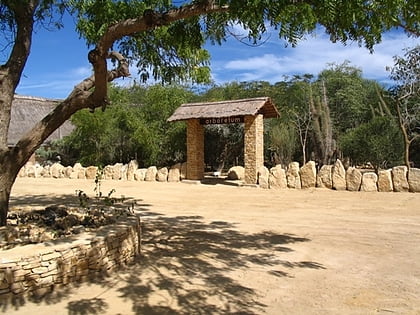 Arboretum d’Antsokay