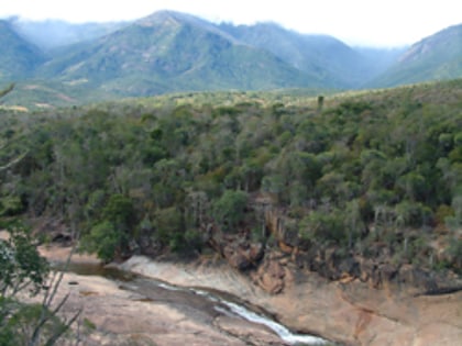 lasy deszczowe atsinanana park narodowy marojejy