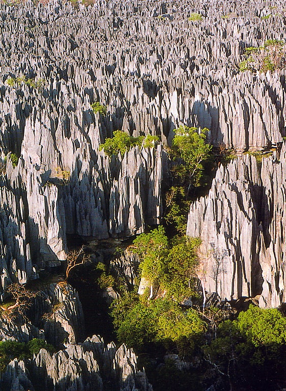 park narodowy tsingy de bemaraha
