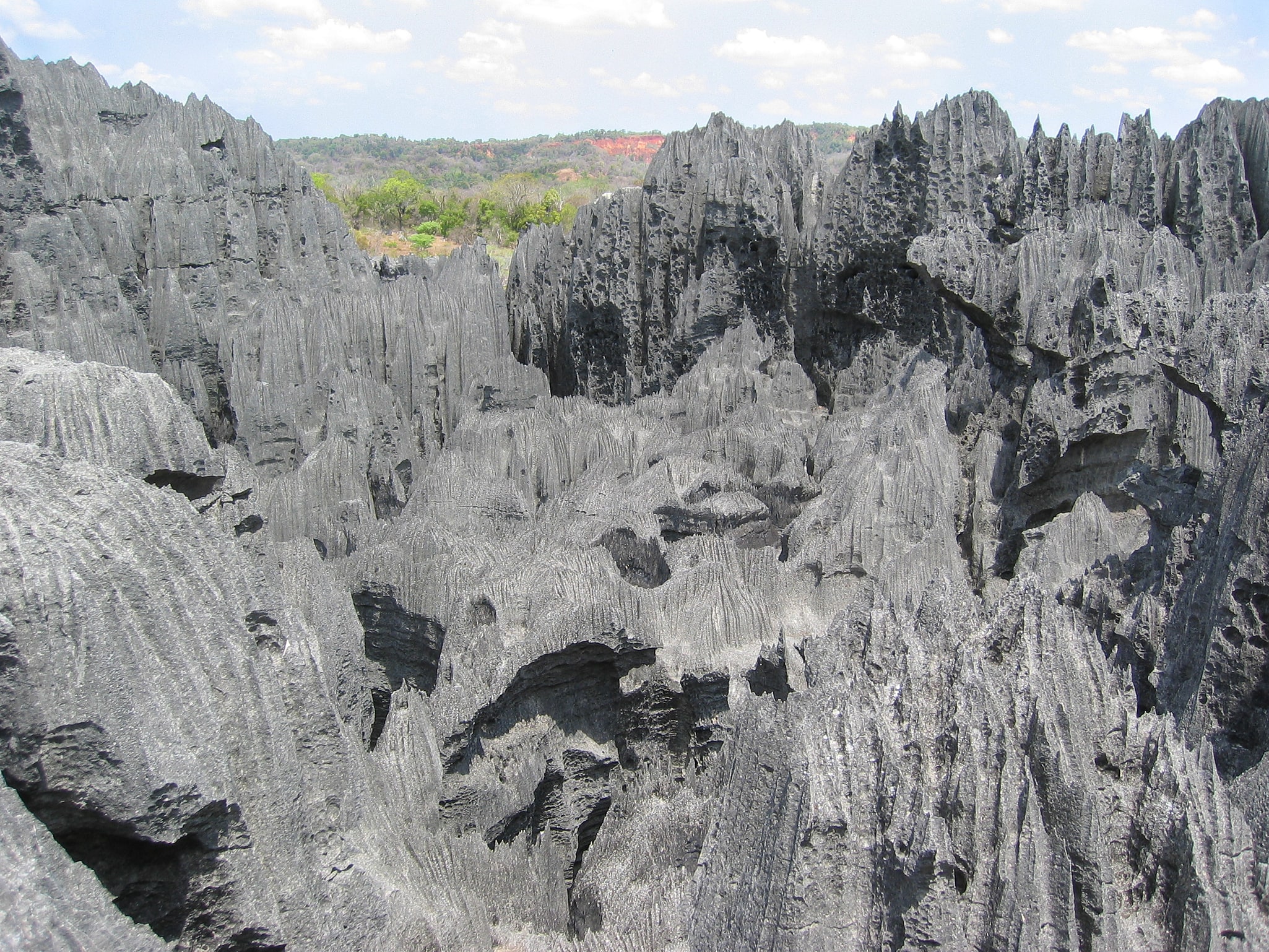 Réserve naturelle intégrale du Tsingy de Bemaraha, Madagascar