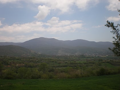 Skopska Crna Gora