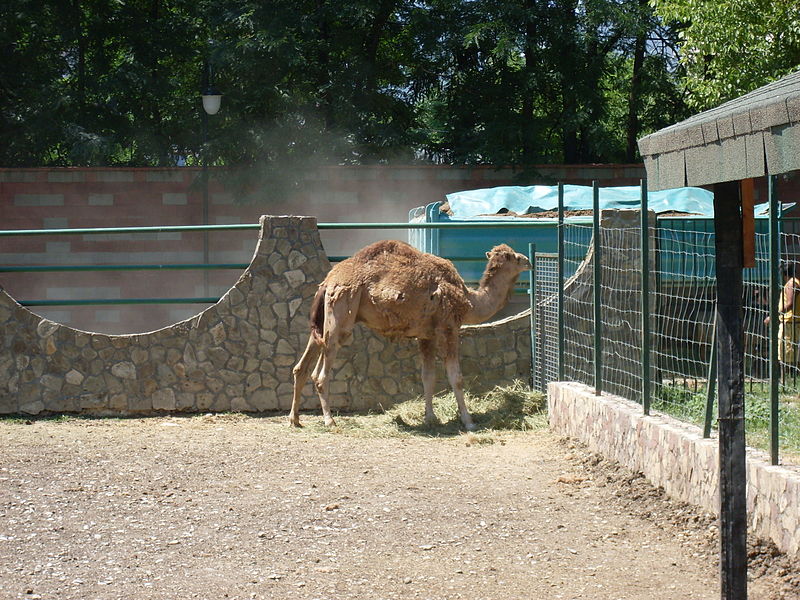 Skopje Zoo