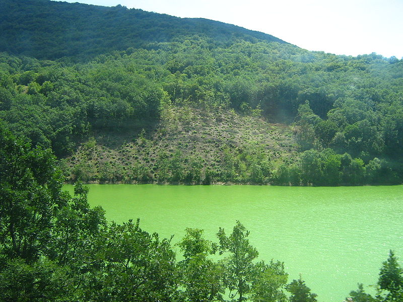 Debar Lake