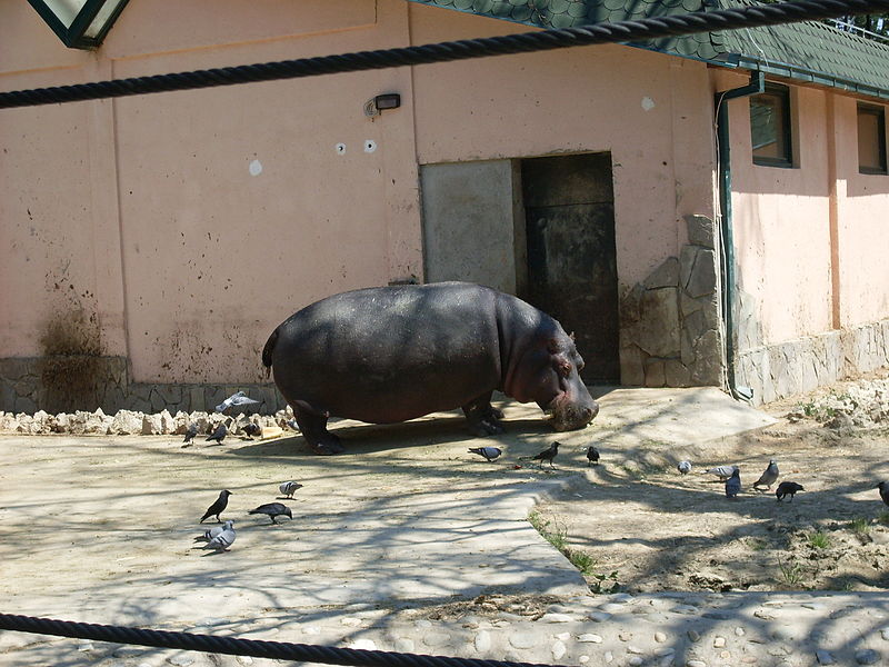 Jardín zoológico de Skopie