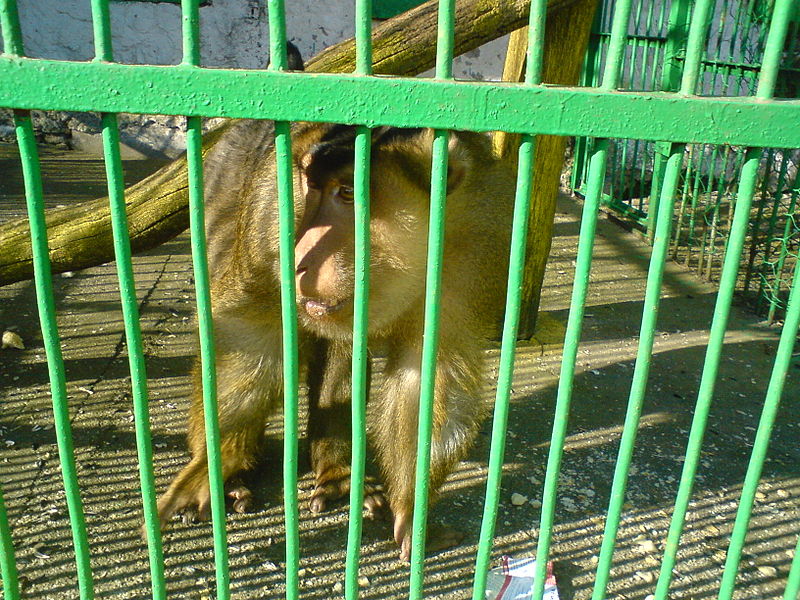 Zoo de Bitola