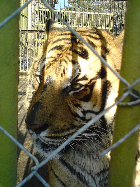 Jardín zoológico de Bitola