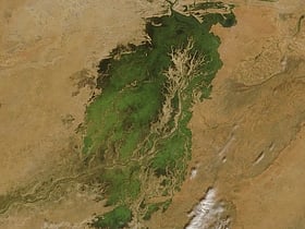Sabana inundada del delta interior del Níger-Bani