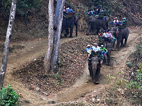 Alaungdaw Kathapa National Park