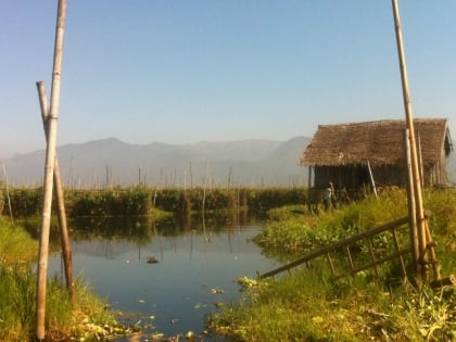 floating gardens inle see