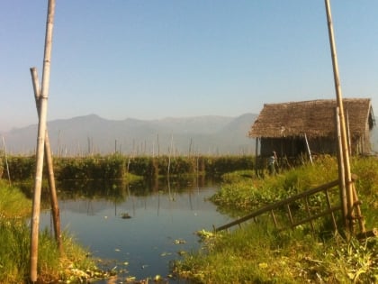 floating gardens inle lake